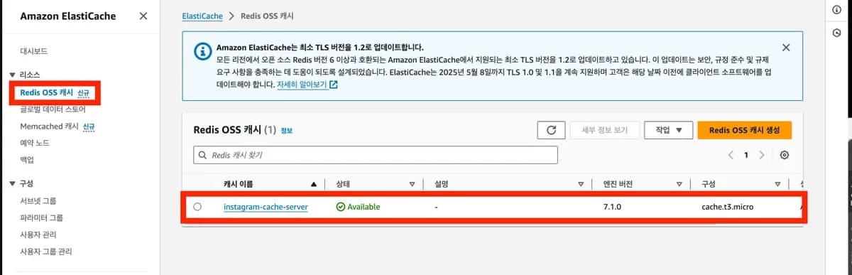 AWS ElastiCache가 정상적으로 잘 생성됐는 지 확인하기 