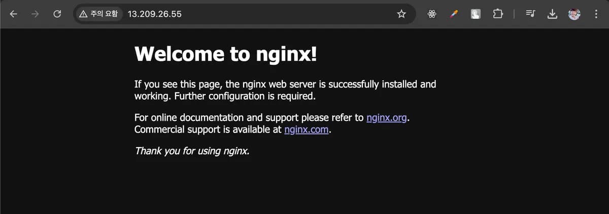 Nginx 설치 및 실행하기 